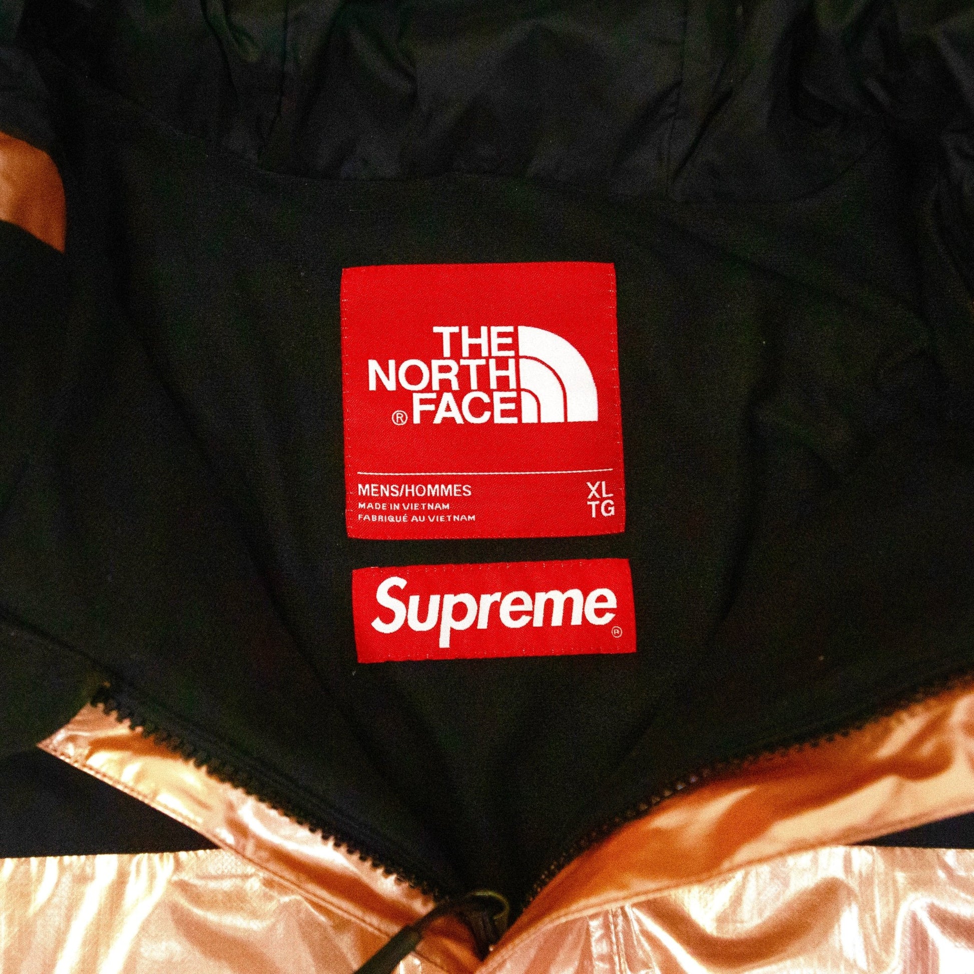 Supreme The North Face Metallic Mountain Parka - supergl0rious